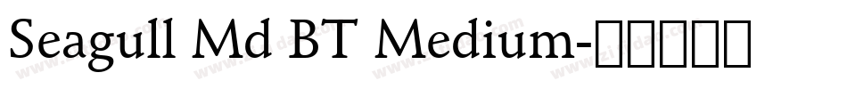 Seagull Md BT Medium字体转换